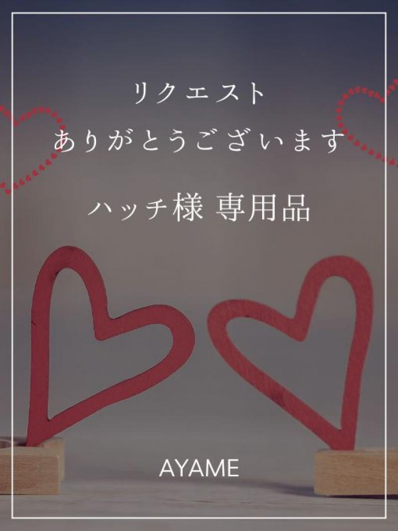 【ハッチ様専用出品】リクエストありがとうございます♡